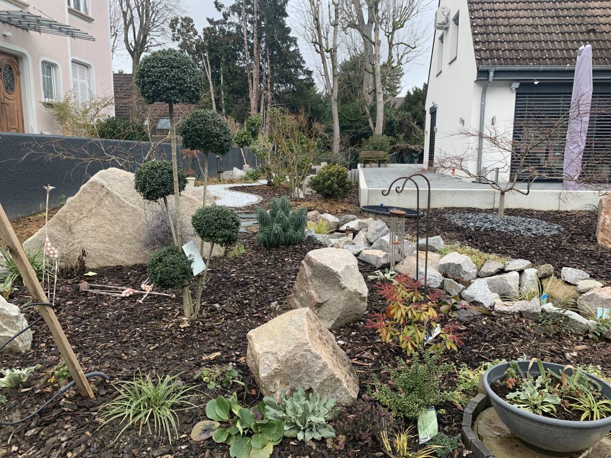 IMG_0575 | TPDC Travaux d’aménagement extérieur : création de jardin paysager à Richwiller et dans le Haut-Rhin Illzach 0