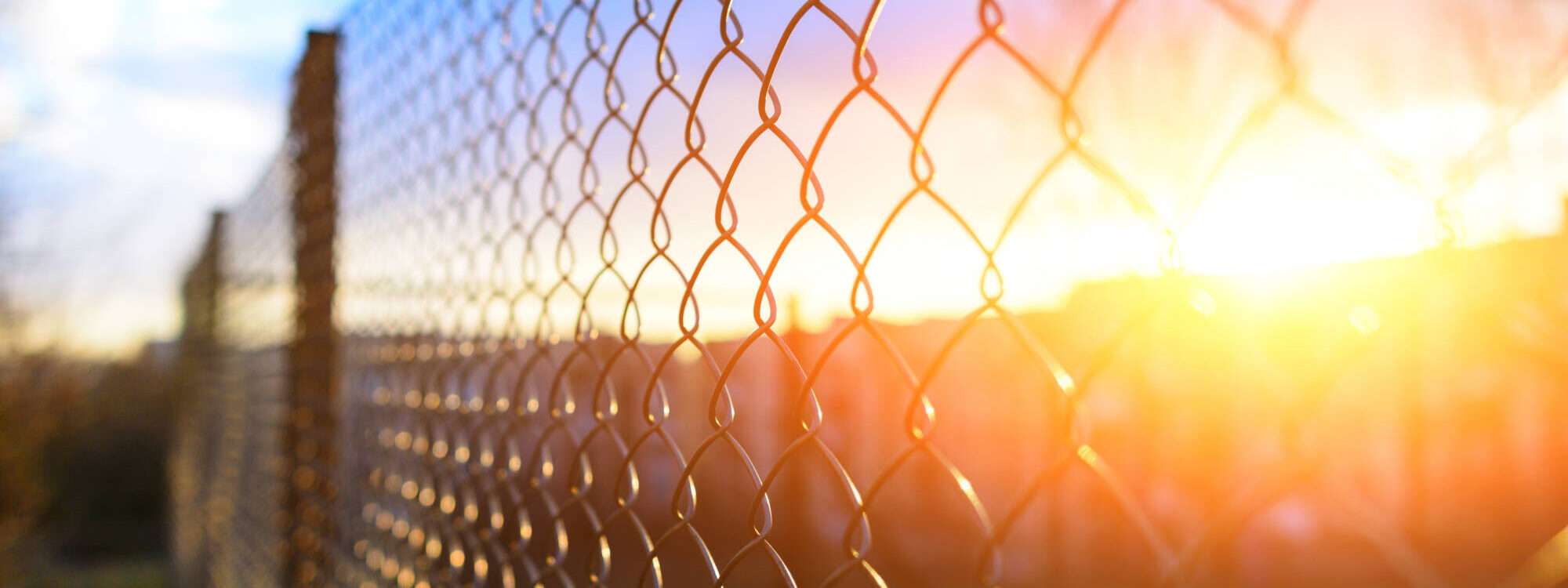 ADOBESTOCK_195290079 2000X750 | TPDC Comment choisir le grillage pour sa clôture ? Mulhouse