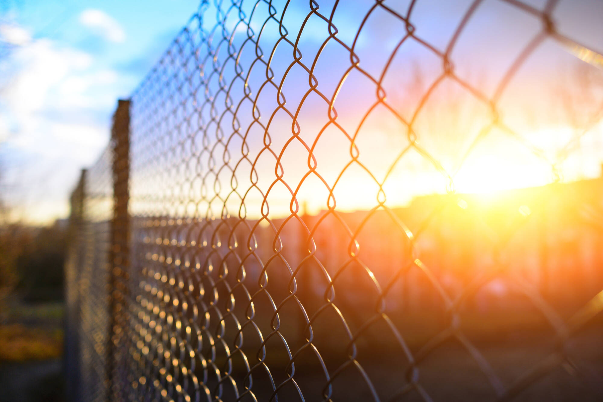 Comment choisir le grillage pour sa clôture ? Mulhouse