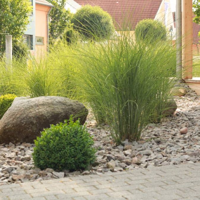 FOTOLIA_54359298_SUBSCRIPTION_MONTHLY_XXL 675X675 | TPDC Travaux d’aménagement extérieur : création de jardin paysager à Richwiller et dans le Haut-Rhin Riedisheim 9