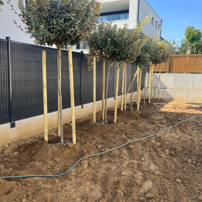 Aménagements extérieurs Saint-Louis 7